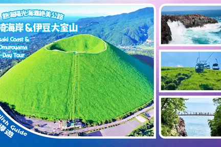 城崎海岸&伊豆大室山一日游(东京出发)