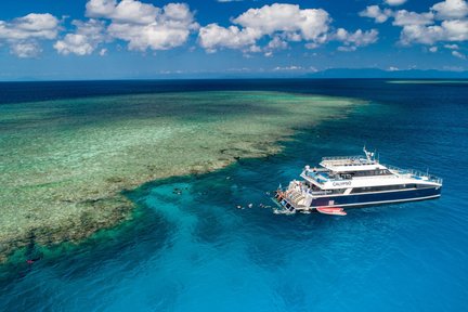 Agincourt Reef Snorkeling dari Port Douglas Beach, Cairns Beach, atau Northern Beach