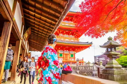 京都和风之旅丨金阁寺&清水寺&伏见稻荷大社一日游丨大阪/京都出发