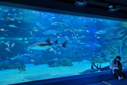 Suwon Gwanggyo Aqua Planet Admission Discount Ticket