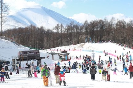 Vé Công viên Tuyết Gunma Karuizawa