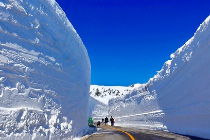 Zao Snow Wall & Cherry Blossom Viewing One Day Tour from Sendai