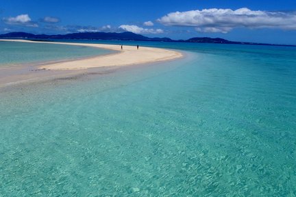 Phantom Island Half-Day Snorkeling Experience with free GoPro rental