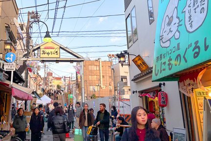 Tokyo: Tour Đi Bộ Khám Phá Khu Phố Cổ Yanaka