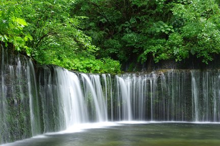 Karuizawa Summer Resort, Hikawa Shrine, and Kawagoe Koedo "Travel" Day Tour Departing from Tokyo