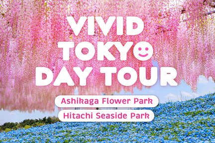 Season Special: Hitachi Seaside Park & Ashikaga Flower Park Day Tour