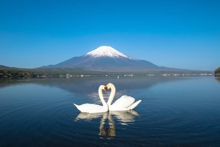 Fuji Super Beautiful Seaview Lake Yamanaka & Lake Kawaguchi + Shimoyoshida Instagram Street + Kinmen Torii Day Tour (Depart from Shinjuku or Kawaguchiko)