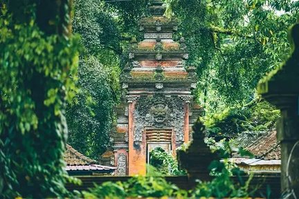 Ubud Highlight Tour