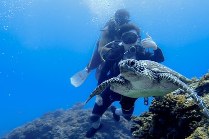 Orchid Island Diving｜Taitung｜Lanyu Blue Ocean House Dive Resort｜Pengalaman Menyelam・PADI・Kursus Pensijilan Menyelam SSI