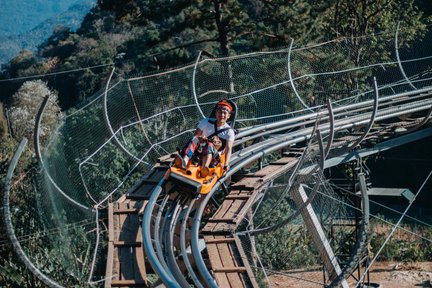 Tàu lượn siêu tốc & Cáp treo Pongyang Jungle