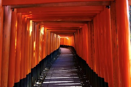 京都 (Kyoto) 伏見稻荷大社 (Fushimi Inari Taisha) 攝影體驗