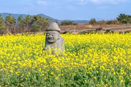 Jeju South Area Private Day Tour