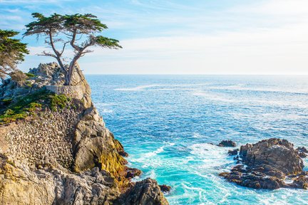 Monterey, Carmel and the 17-Mile Drive Day Tour from San Francisco