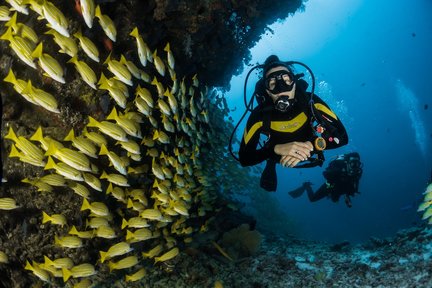 PADIアドバンスドオープンウォーターコース（プルフンティアン島 / PADI Dive Center提供）