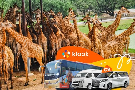 Bangkok Safari World Shared and Private Transfers Service Tour