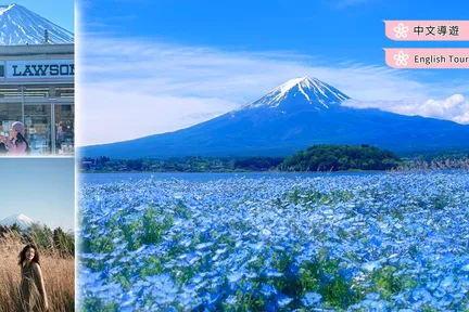 【富士山箱根河口湖赏花】大涌谷&罗森便利店&新仓山浅间公园&河口湖大石公园一日游 (东京出发)