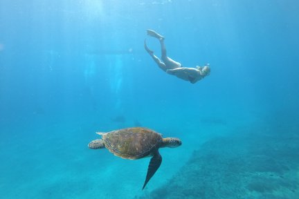 Scopri le immersioni subacquee a Nusa Lembongan e Nusa Penida per principianti