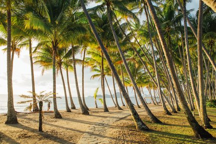 Cairns City Sights and Surrounds Half Day Tour 