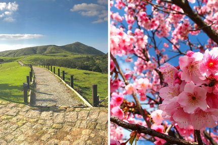 Taipéi: tour de un día de Beitou y Yangmingshan