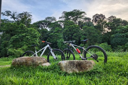 Sewaan Basikal dengan Penghantaran Seluruh Pulau di Singapura