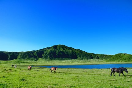 Excursion d'une journée à Kusasenri et au mont Aso avec déjeuner Akaushi