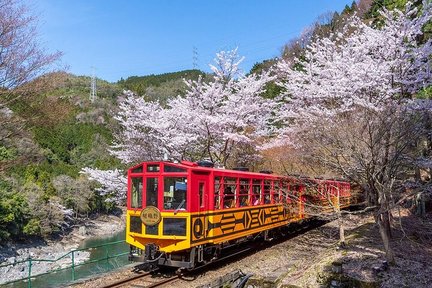 京都嵐山嵯峨野遊覽小火車巴士之旅