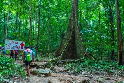 Từ Krabi: Tour Tham Quan Hang Cọp và Rừng Hồ Ngọc Lục Bảo