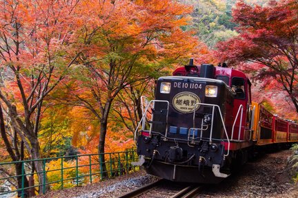 Kyoto Sagano Romantic Train with Autumn Leaves Bus Tour