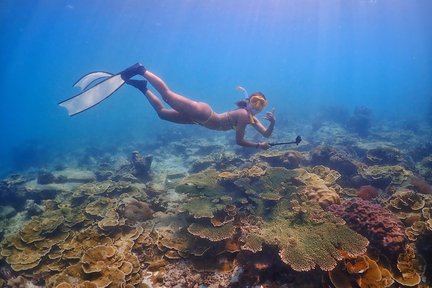 Private Half Day Tour dari Pattaya ke Nemo Island (Samae San Island)