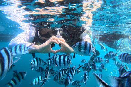  Okinawa Blue Cave boat snorkeling (Free photo and fish feeding)