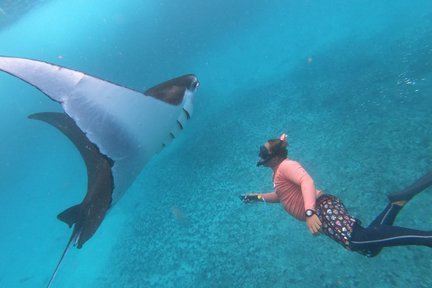 Schnorchel-Tagestour in Nusa Lembongan und Nusa Penida von Bali aus