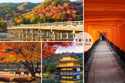 Tagestour nach Kyoto und Nara ab Osaka/Kyoto