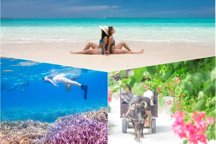 Ishigaki Island & Taketomi Island: Landing on the Phantom Islands & Snorkeling (Okinawa)