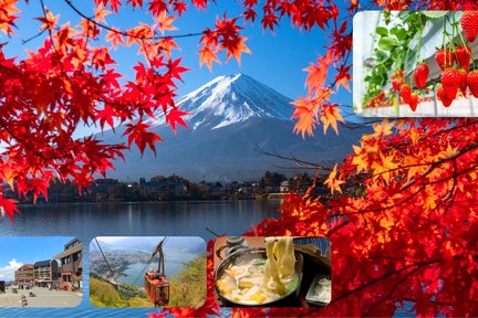 富士山打卡一日游（含四季花卉 & 河口湖缆车 & 水果采摘吃到饱）- 东京出发