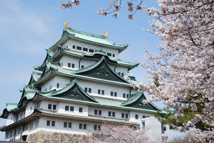 Nagoya Castle Cherry Blossom Festival and Tokugawaen Walking Tour