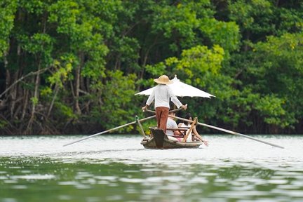 Koh Chang: Lawatan Gondola Hutan Bakau