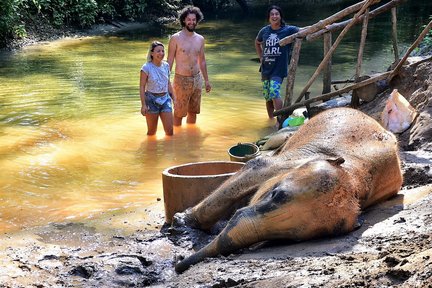 Elephant Sanctuary - Bamboo Rafting - Turtle Conservation Center