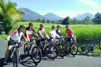 Jatiluwih Rice Terraces Electric Bike Tour in Bali