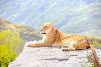 Beijing Zoo: Everything You Need Before Visiting