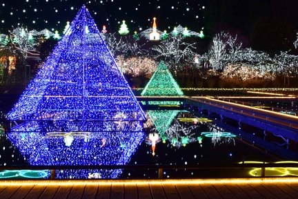 Cueillette de fraises, crabe à volonté et parc floral d'Ashikaga/spectacle de lumière du lac Sagami au départ de Tokyo