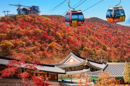 Balwangsan缆车和Samyang Ranch一日游（首尔出发）