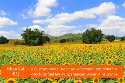 Private Car Charter Khao Yai Multiple Days Custom Tour from Bangkok