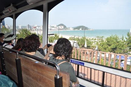 海東龍宮寺・海雲台海辺列車 半日ツアー（釜山発）