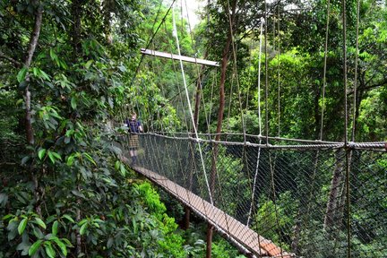 Tour Ghép Trong Ngày Tham Quan Công Viên Quốc Gia Taman Negara