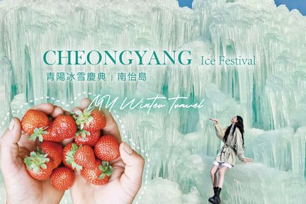 Cheongyang Ice Festival & Nami & Eobi Ice Valley & Strawberry Tour