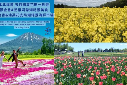 北海道初夏花田：郁金香, 芝樱/油菜花, 洞爷/支笏湖 绝景美食一日游