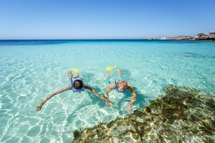 Fähr-, Fahrrad- und Schnorchelausflug nach Rottnest Island ab Fremantle oder Perth