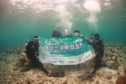 Jeju Island Scuba Diving Experience