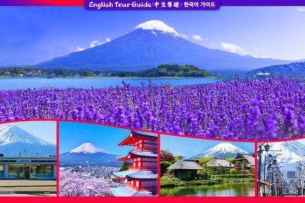 【富士山人气打卡景点】富士山下网红公园&日川时计店&罗森便利店&忍野八海＆大石公园一日游 （东京站或新宿站出发）
