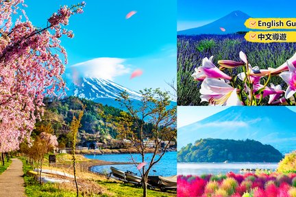 Tempat-tempat untuk Berkumpul Selebriti Internet di Gunung Fuji & Tur Eksplorasi Bunga Empat Musim di Kawaguchiko (Berangkat dari Tokyo/Shinjuku)